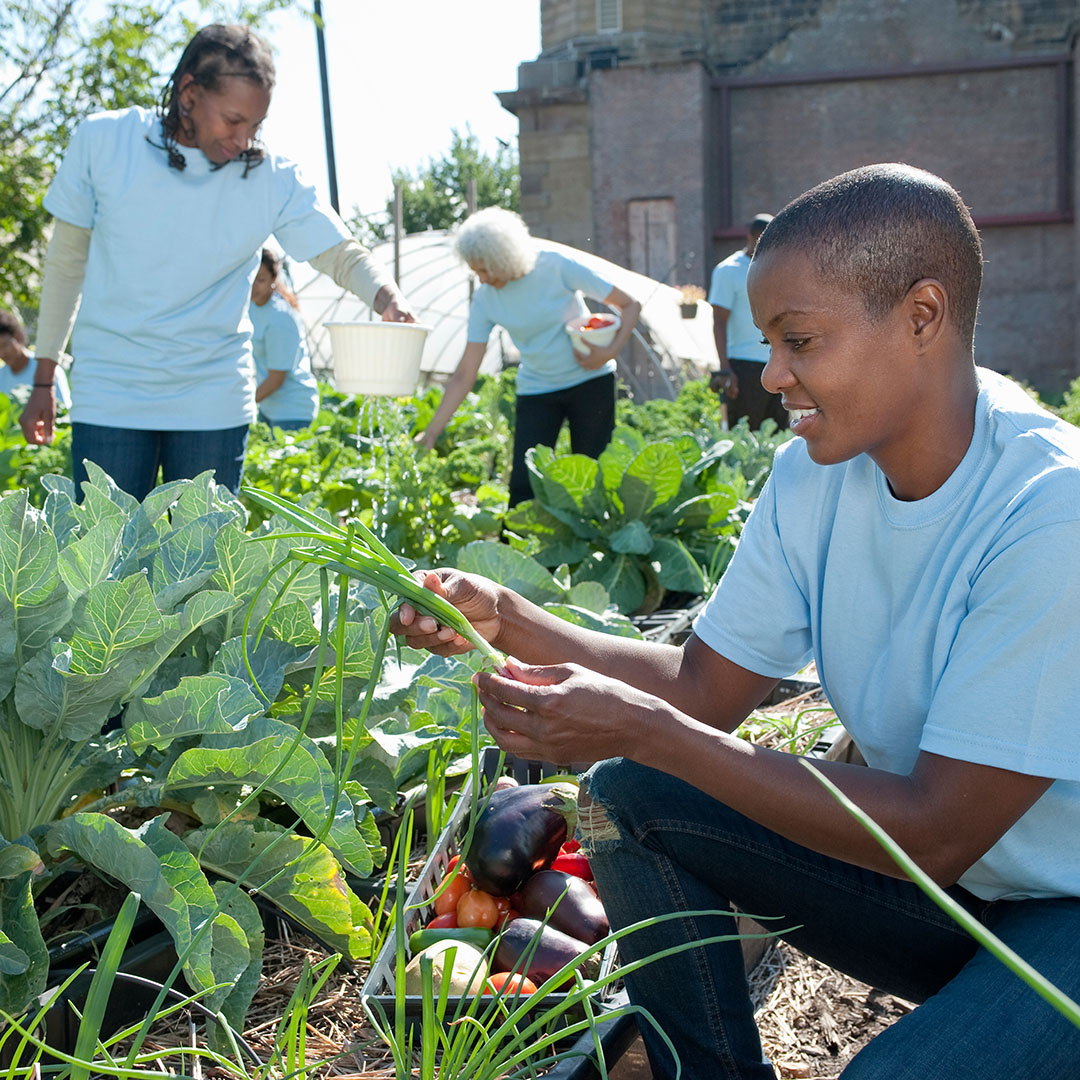 The Legacy of Black Collective Economic Development