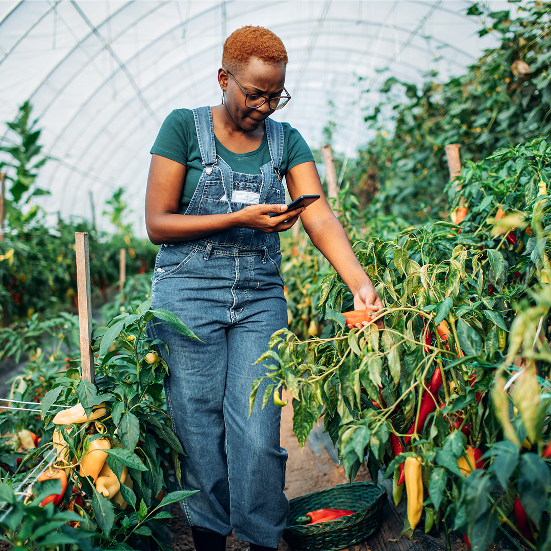 Deep South Small Businesses, Community Organizations, and Mission-Based Lenders Urge Strong Fair Lending Rules for Small Businesses